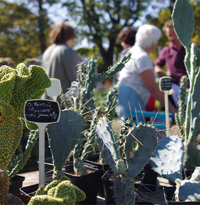JEP et journee des plantes et ecojardinage